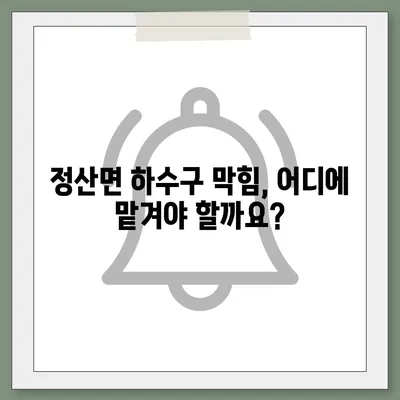 충청남도 청양군 정산면 하수구막힘 | 가격 | 비용 | 기름제거 | 싱크대 | 변기 | 세면대 | 역류 | 냄새차단 | 2024 후기