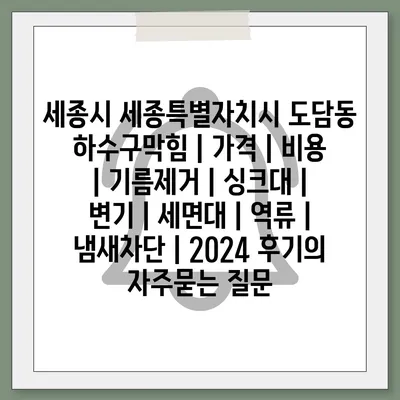 세종시 세종특별자치시 도담동 하수구막힘 | 가격 | 비용 | 기름제거 | 싱크대 | 변기 | 세면대 | 역류 | 냄새차단 | 2024 후기