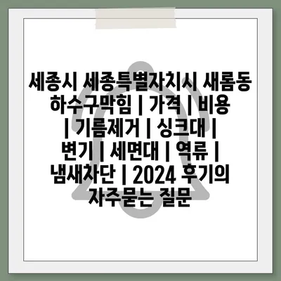 세종시 세종특별자치시 새롬동 하수구막힘 | 가격 | 비용 | 기름제거 | 싱크대 | 변기 | 세면대 | 역류 | 냄새차단 | 2024 후기