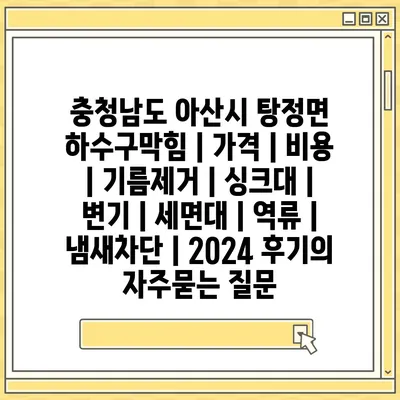 충청남도 아산시 탕정면 하수구막힘 | 가격 | 비용 | 기름제거 | 싱크대 | 변기 | 세면대 | 역류 | 냄새차단 | 2024 후기