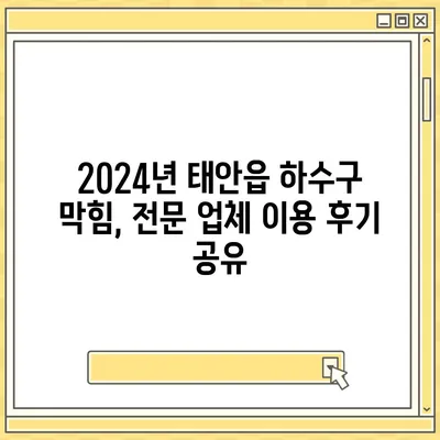 충청남도 태안군 태안읍 하수구막힘 | 가격 | 비용 | 기름제거 | 싱크대 | 변기 | 세면대 | 역류 | 냄새차단 | 2024 후기