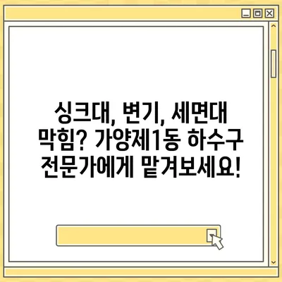 서울시 강서구 가양제1동 하수구막힘 | 가격 | 비용 | 기름제거 | 싱크대 | 변기 | 세면대 | 역류 | 냄새차단 | 2024 후기