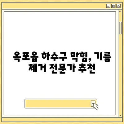 대구시 달성군 옥포읍 하수구막힘 | 가격 | 비용 | 기름제거 | 싱크대 | 변기 | 세면대 | 역류 | 냄새차단 | 2024 후기