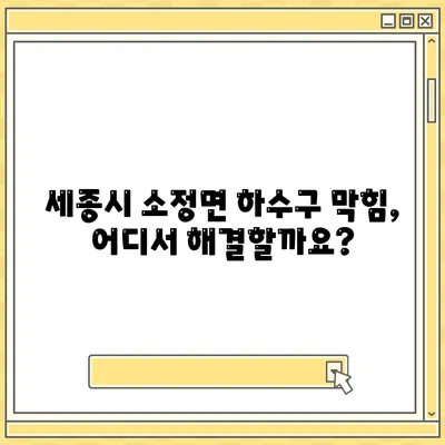 세종시 세종특별자치시 소정면 하수구막힘 | 가격 | 비용 | 기름제거 | 싱크대 | 변기 | 세면대 | 역류 | 냄새차단 | 2024 후기