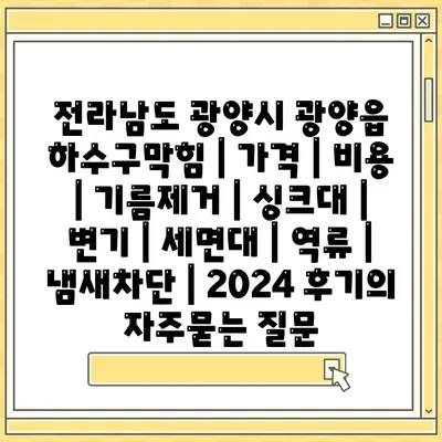 전라남도 광양시 광양읍 하수구막힘 | 가격 | 비용 | 기름제거 | 싱크대 | 변기 | 세면대 | 역류 | 냄새차단 | 2024 후기