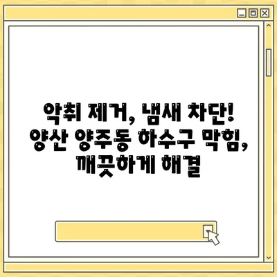 경상남도 양산시 양주동 하수구막힘 | 가격 | 비용 | 기름제거 | 싱크대 | 변기 | 세면대 | 역류 | 냄새차단 | 2024 후기