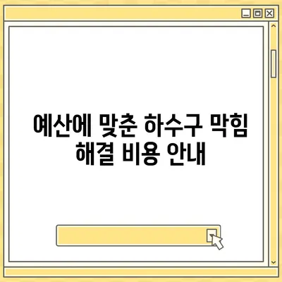 서울시 강서구 가양제1동 하수구막힘 | 가격 | 비용 | 기름제거 | 싱크대 | 변기 | 세면대 | 역류 | 냄새차단 | 2024 후기