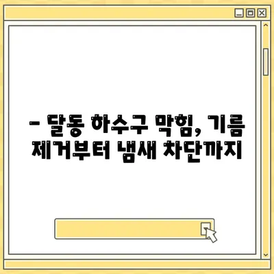 울산시 남구 달동 하수구막힘 | 가격 | 비용 | 기름제거 | 싱크대 | 변기 | 세면대 | 역류 | 냄새차단 | 2024 후기