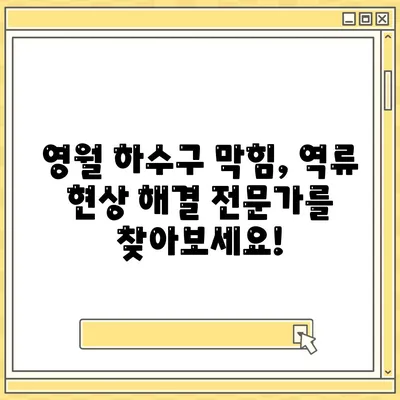 강원도 영월군 영월읍 하수구막힘 | 가격 | 비용 | 기름제거 | 싱크대 | 변기 | 세면대 | 역류 | 냄새차단 | 2024 후기