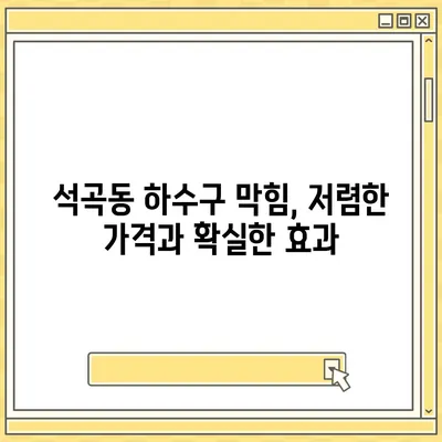 광주시 북구 석곡동 하수구막힘 | 가격 | 비용 | 기름제거 | 싱크대 | 변기 | 세면대 | 역류 | 냄새차단 | 2024 후기