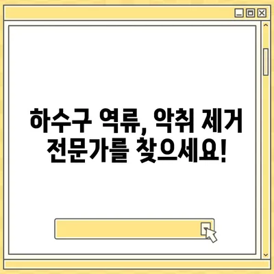 세종시 세종특별자치시 부강면 하수구막힘 | 가격 | 비용 | 기름제거 | 싱크대 | 변기 | 세면대 | 역류 | 냄새차단 | 2024 후기