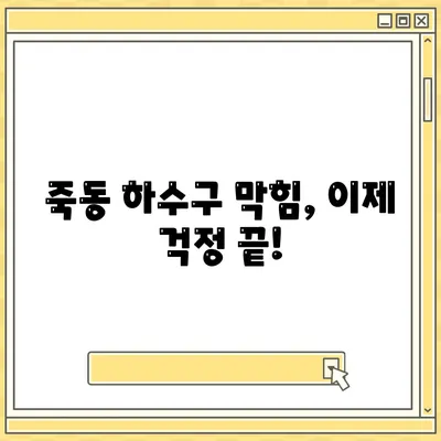 대전시 유성구 죽동 하수구막힘 | 가격 | 비용 | 기름제거 | 싱크대 | 변기 | 세면대 | 역류 | 냄새차단 | 2024 후기