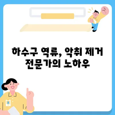 대전시 동구 산내동 하수구막힘 | 가격 | 비용 | 기름제거 | 싱크대 | 변기 | 세면대 | 역류 | 냄새차단 | 2024 후기