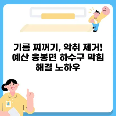 충청남도 예산군 응봉면 하수구막힘 | 가격 | 비용 | 기름제거 | 싱크대 | 변기 | 세면대 | 역류 | 냄새차단 | 2024 후기