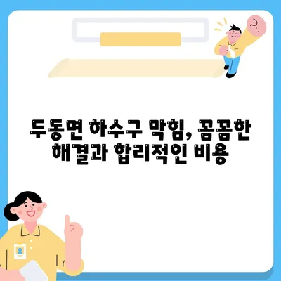 울산시 울주군 두동면 하수구막힘 | 가격 | 비용 | 기름제거 | 싱크대 | 변기 | 세면대 | 역류 | 냄새차단 | 2024 후기