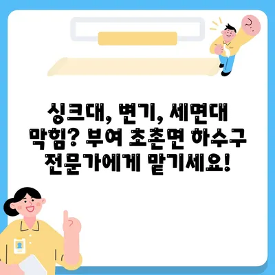 충청남도 부여군 초촌면 하수구막힘 | 가격 | 비용 | 기름제거 | 싱크대 | 변기 | 세면대 | 역류 | 냄새차단 | 2024 후기