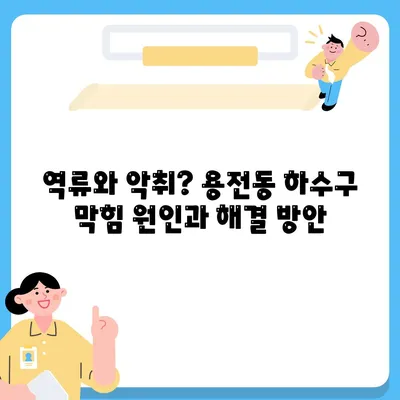 대전시 동구 용전동 하수구막힘 | 가격 | 비용 | 기름제거 | 싱크대 | 변기 | 세면대 | 역류 | 냄새차단 | 2024 후기