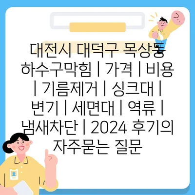 대전시 대덕구 목상동 하수구막힘 | 가격 | 비용 | 기름제거 | 싱크대 | 변기 | 세면대 | 역류 | 냄새차단 | 2024 후기