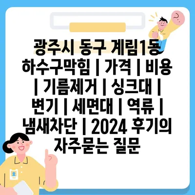 광주시 동구 계림1동 하수구막힘 | 가격 | 비용 | 기름제거 | 싱크대 | 변기 | 세면대 | 역류 | 냄새차단 | 2024 후기