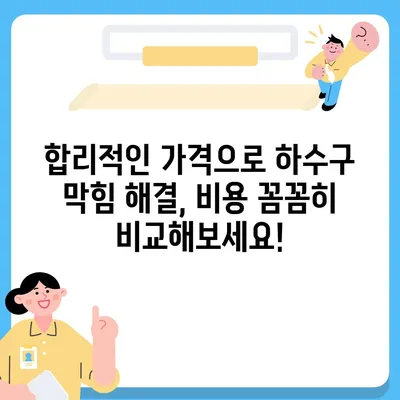 세종시 세종특별자치시 나성동 하수구막힘 | 가격 | 비용 | 기름제거 | 싱크대 | 변기 | 세면대 | 역류 | 냄새차단 | 2024 후기