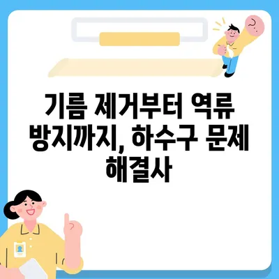 전라남도 강진군 성전면 하수구막힘 | 가격 | 비용 | 기름제거 | 싱크대 | 변기 | 세면대 | 역류 | 냄새차단 | 2024 후기