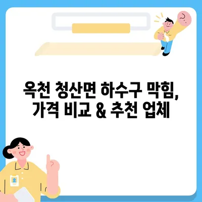 충청북도 옥천군 청산면 하수구막힘 | 가격 | 비용 | 기름제거 | 싱크대 | 변기 | 세면대 | 역류 | 냄새차단 | 2024 후기