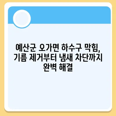 충청남도 예산군 오가면 하수구막힘 | 가격 | 비용 | 기름제거 | 싱크대 | 변기 | 세면대 | 역류 | 냄새차단 | 2024 후기