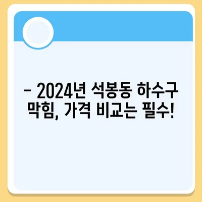 대전시 대덕구 석봉동 하수구막힘 | 가격 | 비용 | 기름제거 | 싱크대 | 변기 | 세면대 | 역류 | 냄새차단 | 2024 후기