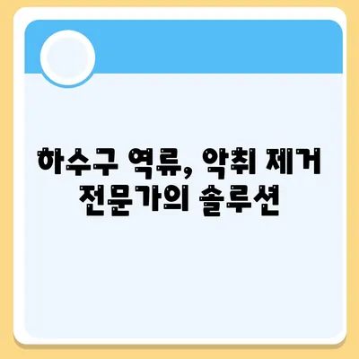 부산시 부산진구 개금3동 하수구막힘 | 가격 | 비용 | 기름제거 | 싱크대 | 변기 | 세면대 | 역류 | 냄새차단 | 2024 후기