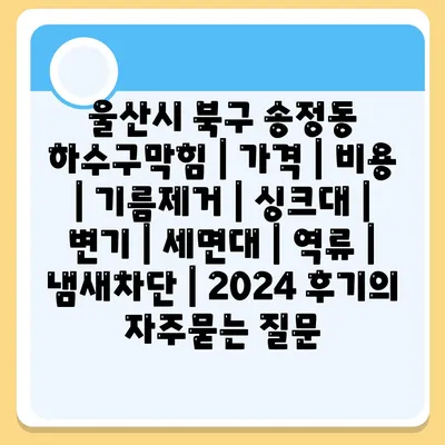 울산시 북구 송정동 하수구막힘 | 가격 | 비용 | 기름제거 | 싱크대 | 변기 | 세면대 | 역류 | 냄새차단 | 2024 후기