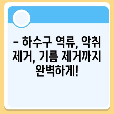 세종시 세종특별자치시 금남면 하수구막힘 | 가격 | 비용 | 기름제거 | 싱크대 | 변기 | 세면대 | 역류 | 냄새차단 | 2024 후기