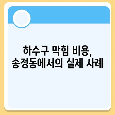 경기도 광주시 송정동 하수구막힘 | 가격 | 비용 | 기름제거 | 싱크대 | 변기 | 세면대 | 역류 | 냄새차단 | 2024 후기