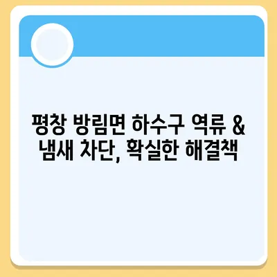 강원도 평창군 방림면 하수구막힘 | 가격 | 비용 | 기름제거 | 싱크대 | 변기 | 세면대 | 역류 | 냄새차단 | 2024 후기