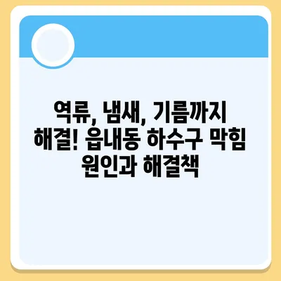 대구시 북구 읍내동 하수구막힘 | 가격 | 비용 | 기름제거 | 싱크대 | 변기 | 세면대 | 역류 | 냄새차단 | 2024 후기