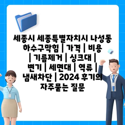 세종시 세종특별자치시 나성동 하수구막힘 | 가격 | 비용 | 기름제거 | 싱크대 | 변기 | 세면대 | 역류 | 냄새차단 | 2024 후기