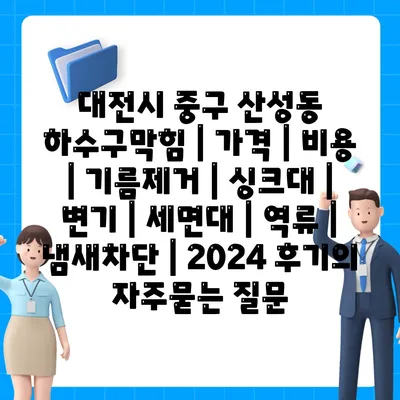 대전시 중구 산성동 하수구막힘 | 가격 | 비용 | 기름제거 | 싱크대 | 변기 | 세면대 | 역류 | 냄새차단 | 2024 후기