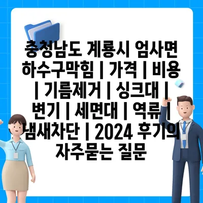 충청남도 계룡시 엄사면 하수구막힘 | 가격 | 비용 | 기름제거 | 싱크대 | 변기 | 세면대 | 역류 | 냄새차단 | 2024 후기