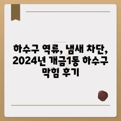 부산시 부산진구 개금1동 하수구막힘 | 가격 | 비용 | 기름제거 | 싱크대 | 변기 | 세면대 | 역류 | 냄새차단 | 2024 후기