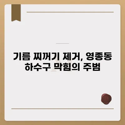 인천시 중구 영종동 하수구막힘 | 가격 | 비용 | 기름제거 | 싱크대 | 변기 | 세면대 | 역류 | 냄새차단 | 2024 후기