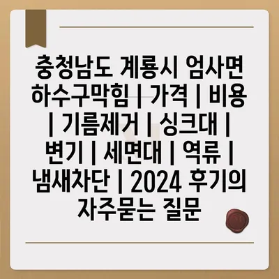 충청남도 계룡시 엄사면 하수구막힘 | 가격 | 비용 | 기름제거 | 싱크대 | 변기 | 세면대 | 역류 | 냄새차단 | 2024 후기