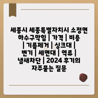 세종시 세종특별자치시 소정면 하수구막힘 | 가격 | 비용 | 기름제거 | 싱크대 | 변기 | 세면대 | 역류 | 냄새차단 | 2024 후기