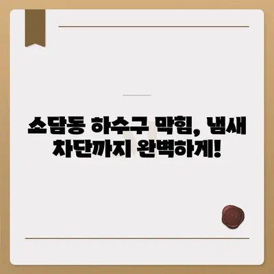 세종시 세종특별자치시 소담동 하수구막힘 | 가격 | 비용 | 기름제거 | 싱크대 | 변기 | 세면대 | 역류 | 냄새차단 | 2024 후기