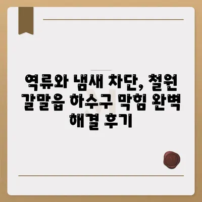 강원도 철원군 갈말읍 하수구막힘 | 가격 | 비용 | 기름제거 | 싱크대 | 변기 | 세면대 | 역류 | 냄새차단 | 2024 후기