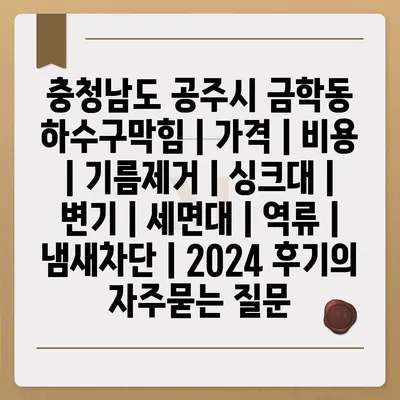 충청남도 공주시 금학동 하수구막힘 | 가격 | 비용 | 기름제거 | 싱크대 | 변기 | 세면대 | 역류 | 냄새차단 | 2024 후기