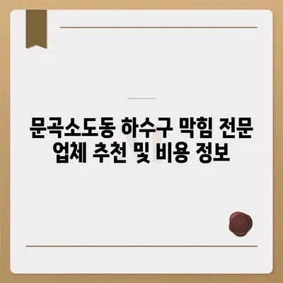 강원도 태백시 문곡소도동 하수구막힘 | 가격 | 비용 | 기름제거 | 싱크대 | 변기 | 세면대 | 역류 | 냄새차단 | 2024 후기