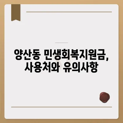 광주시 북구 양산동 민생회복지원금 | 신청 | 신청방법 | 대상 | 지급일 | 사용처 | 전국민 | 이재명 | 2024