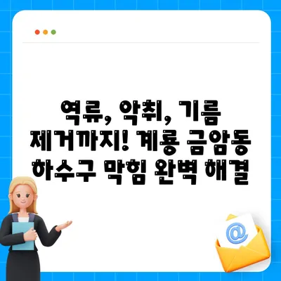 충청남도 계룡시 금암동 하수구막힘 | 가격 | 비용 | 기름제거 | 싱크대 | 변기 | 세면대 | 역류 | 냄새차단 | 2024 후기