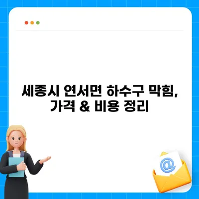 세종시 세종특별자치시 연서면 하수구막힘 | 가격 | 비용 | 기름제거 | 싱크대 | 변기 | 세면대 | 역류 | 냄새차단 | 2024 후기