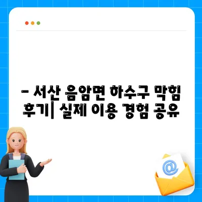 충청남도 서산시 음암면 하수구막힘 | 가격 | 비용 | 기름제거 | 싱크대 | 변기 | 세면대 | 역류 | 냄새차단 | 2024 후기