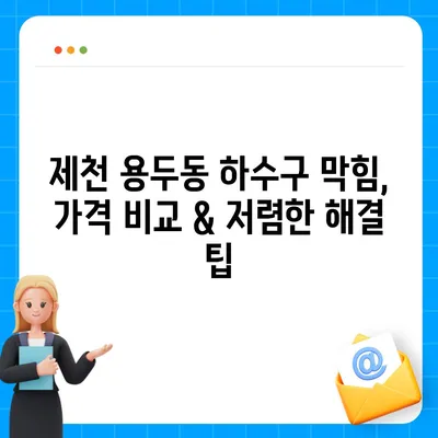 충청북도 제천시 용두동 하수구막힘 | 가격 | 비용 | 기름제거 | 싱크대 | 변기 | 세면대 | 역류 | 냄새차단 | 2024 후기